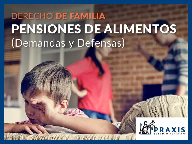 Abogados de Familia en Puerto Montt - Puerto Montt Abogados de Familia - Estudio Jurídico en Puerto Montt