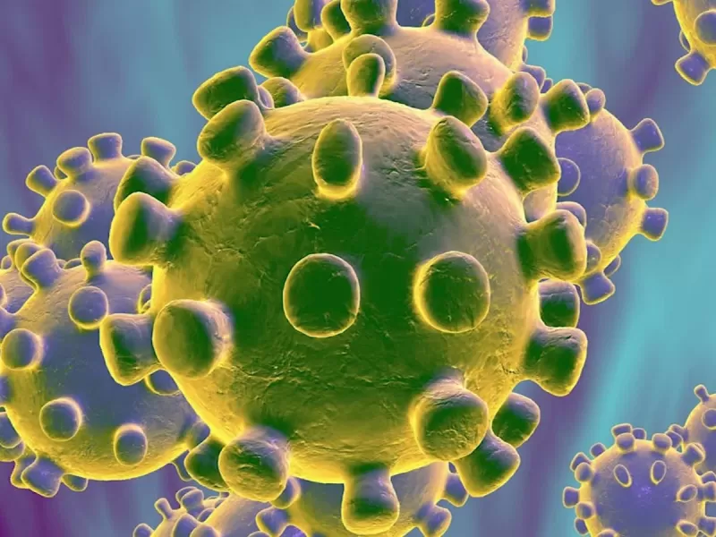 Activan protocolo en Chiloé por caso sospechoso de coronavirus: paciente realizó circuito por Europa