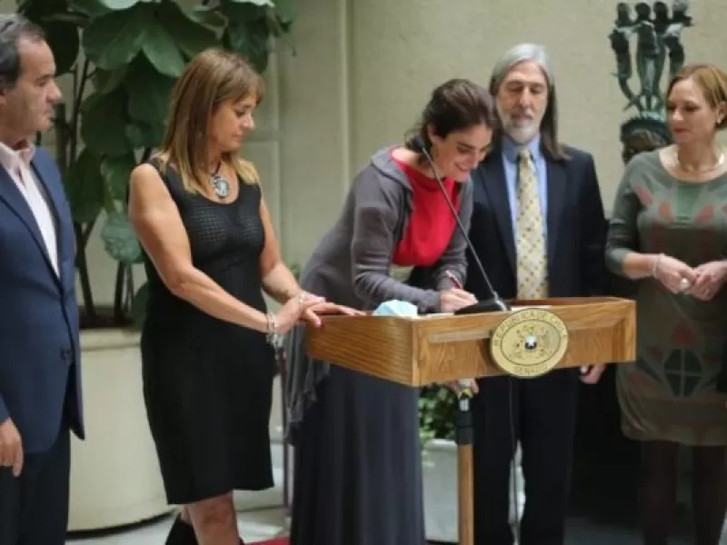 Senado aprueba proyecto de protección al empleo y pasa a la Cámara de Diputados