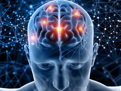 CerebrUSS 2026: Puerto Montt vivirá el primer Festival de Neurociencias del sur de Chile