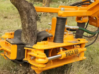 Crece la industria de los frutos secos y avanza la cosecha mecanizada en Chile