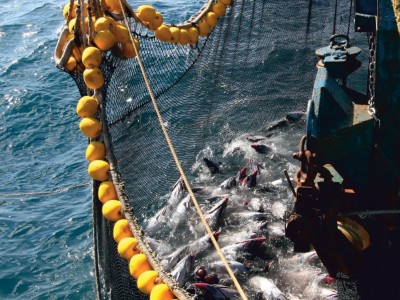 Garware participará en Nor-Fishing 2026